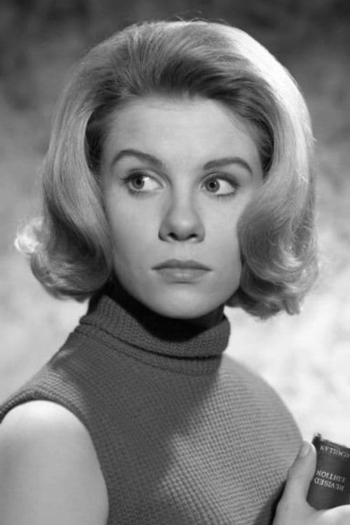 Davey Davison profile photo