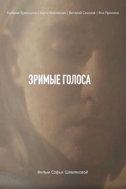 Visible Voices poster