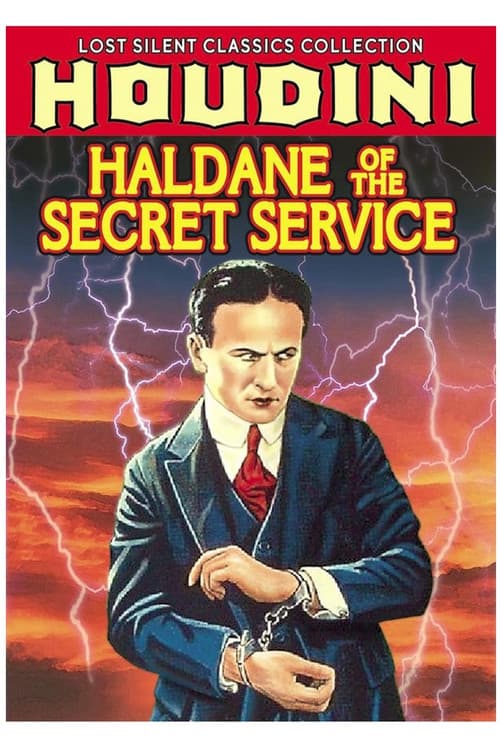 Haldane of the Secret Service poster