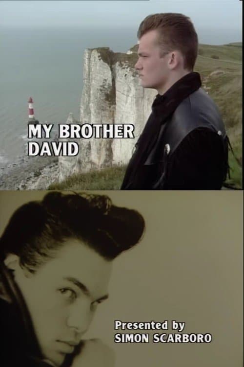My Brother David poster