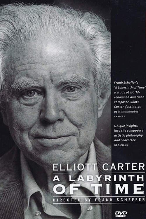 A Labyrinth of Time poster