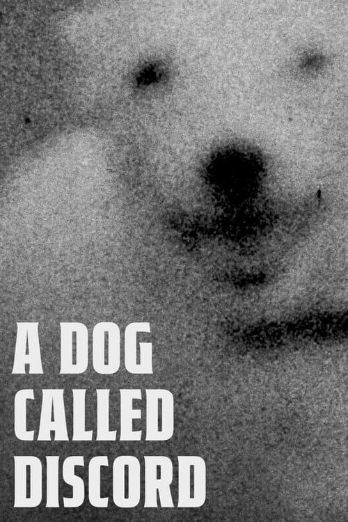 A Dog Called Discord poster