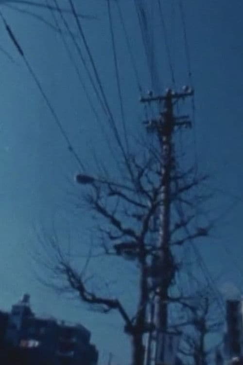 Passing By Landscapes poster