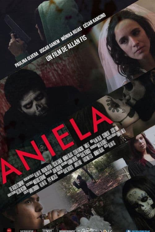 Aniela poster