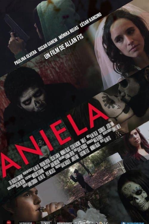 Aniela poster
