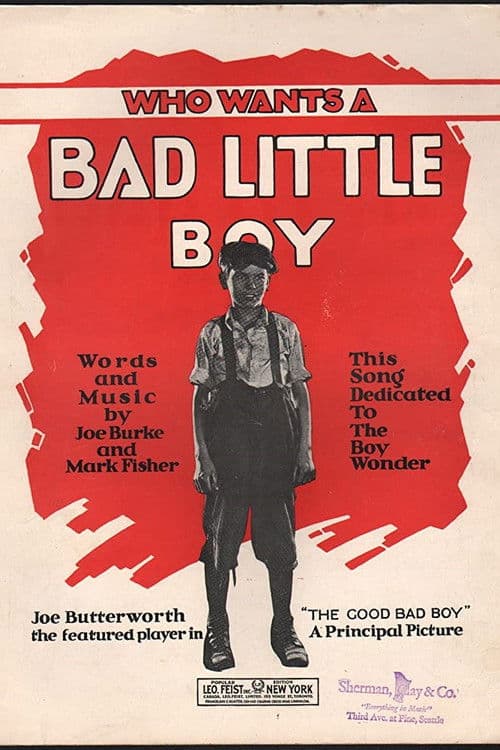 The Good Bad Boy poster