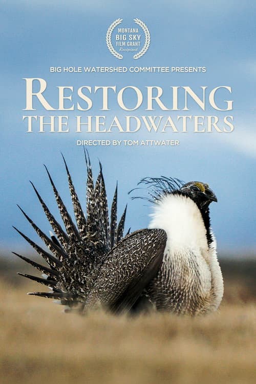 Restoring the Headwaters poster