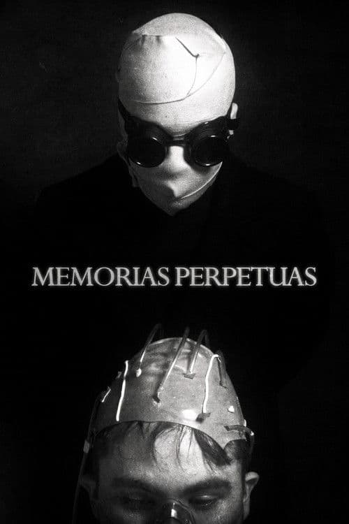Perpetual memories poster
