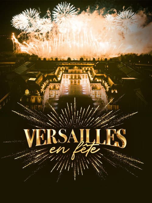 Versailles en fête poster
