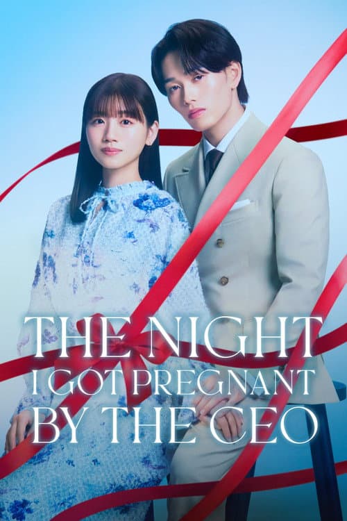 The Night I Got Pregnant By the CEO poster