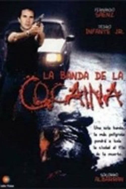 Un ingeniero en la capital poster