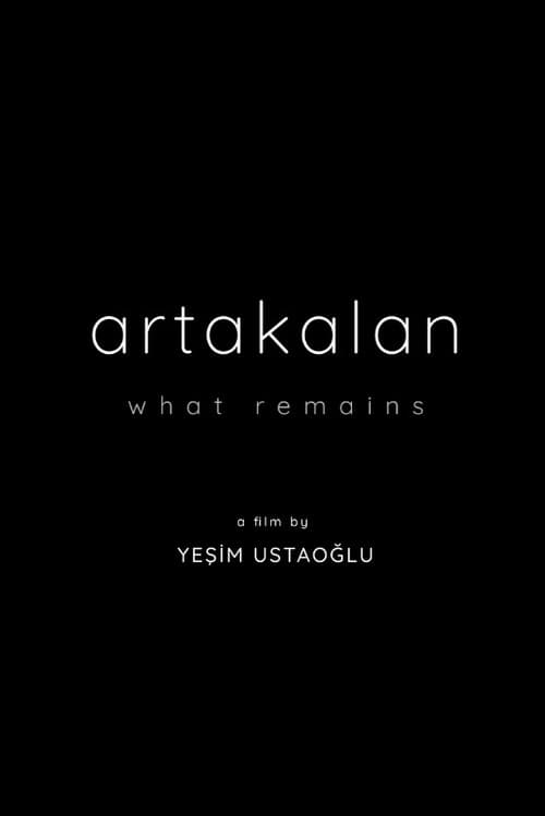 What Remains poster