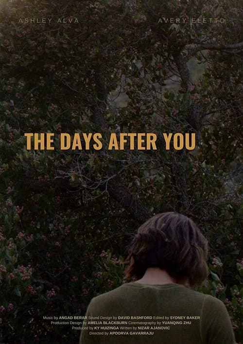 The Days After You poster