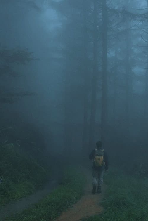 Men Wandering in the Mountain poster
