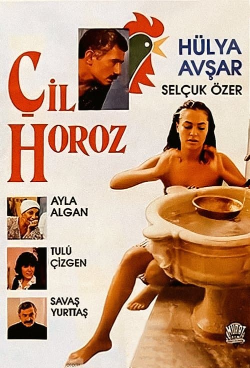 Çil Horoz poster