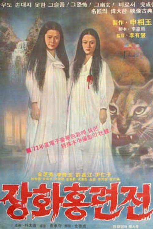 A Story of Two Sisters poster