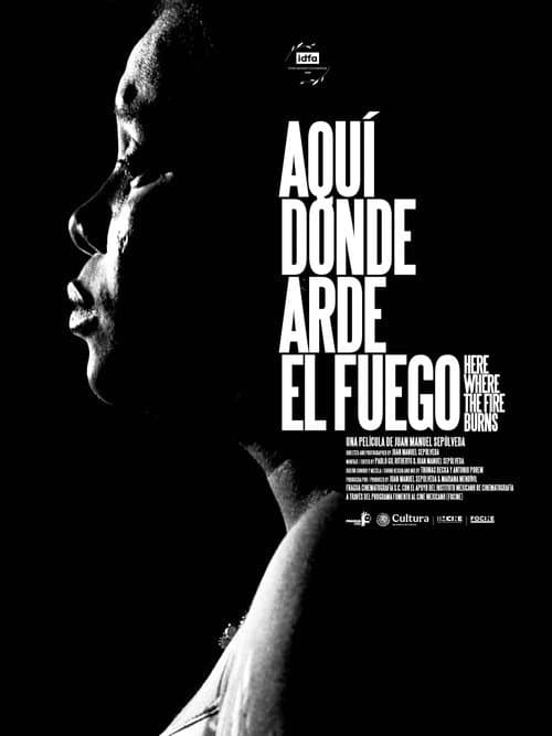 Here Where the Fire Burns poster