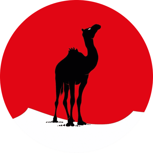 Black Camel Pictures