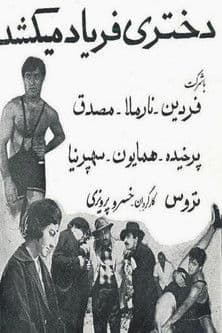 A Girl Screams poster