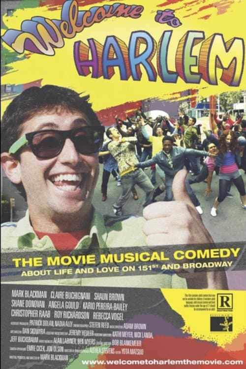 Welcome to Harlem poster