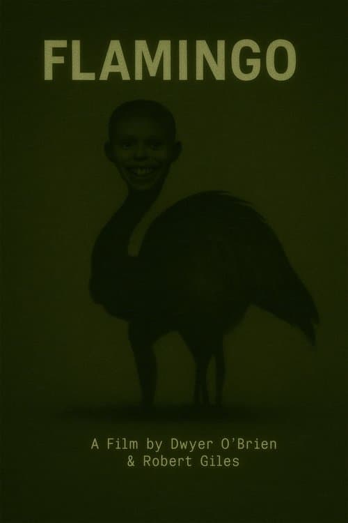 Flamingo poster
