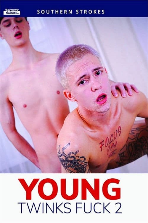 Young Twinks Fuck 2 poster