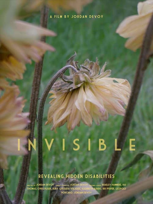 Invisible - Revealing Hidden Disabilities poster