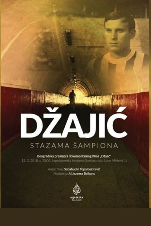 Dzajic poster