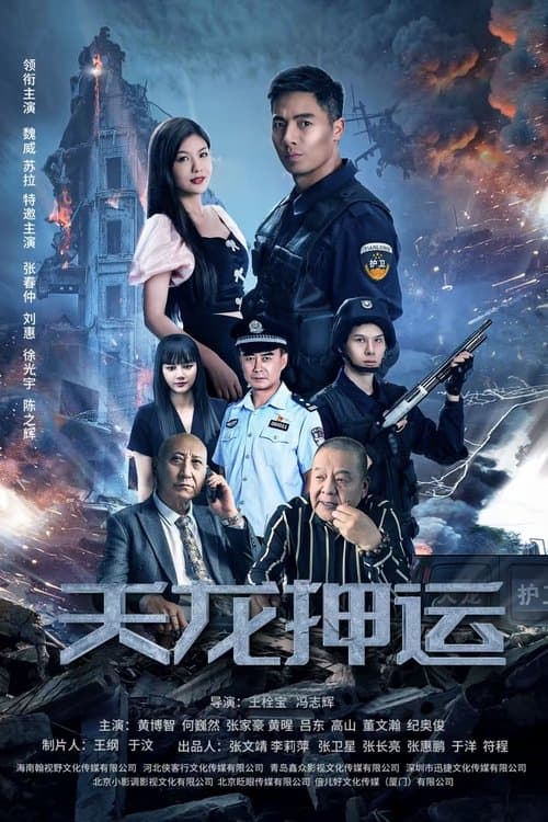天龙押运 poster