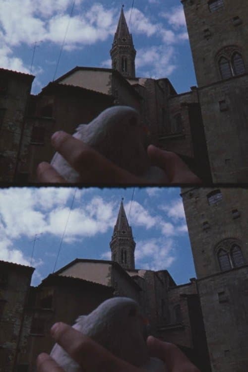 From the Notebook of... poster