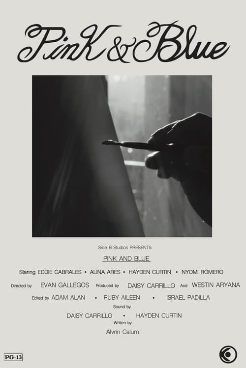Pink & Blue poster
