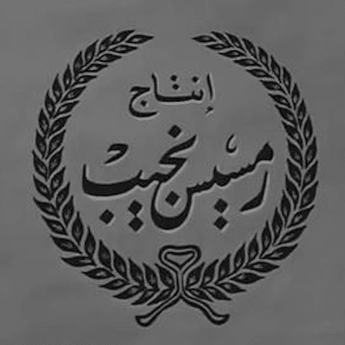 أفلام رمسيس نجيب