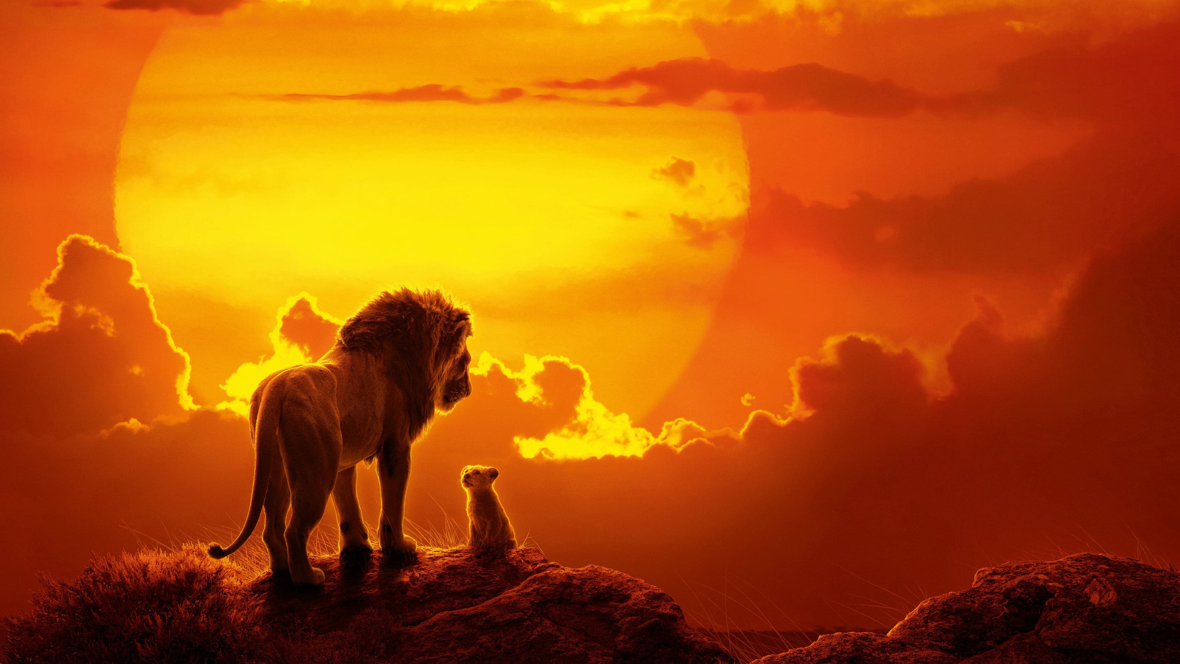 The Lion King (Reboot) Collection