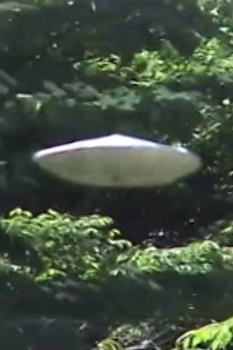 Buchou to UFO-gokko
