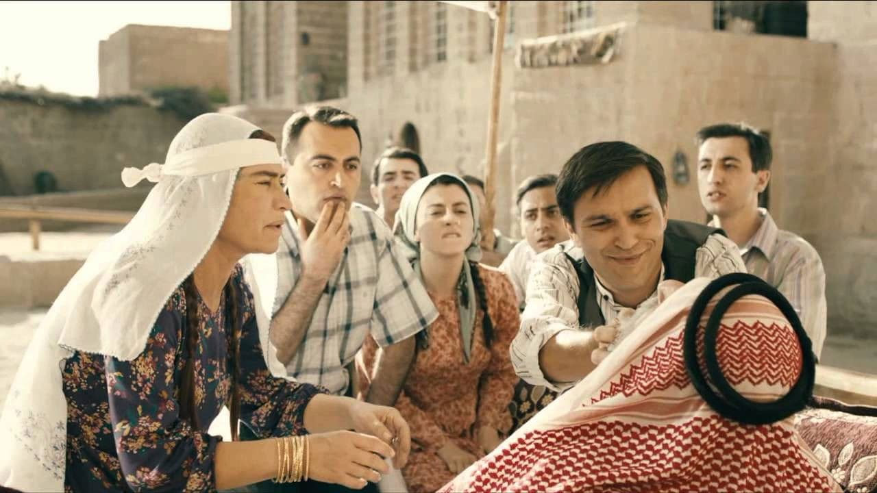 Government Woman Collection