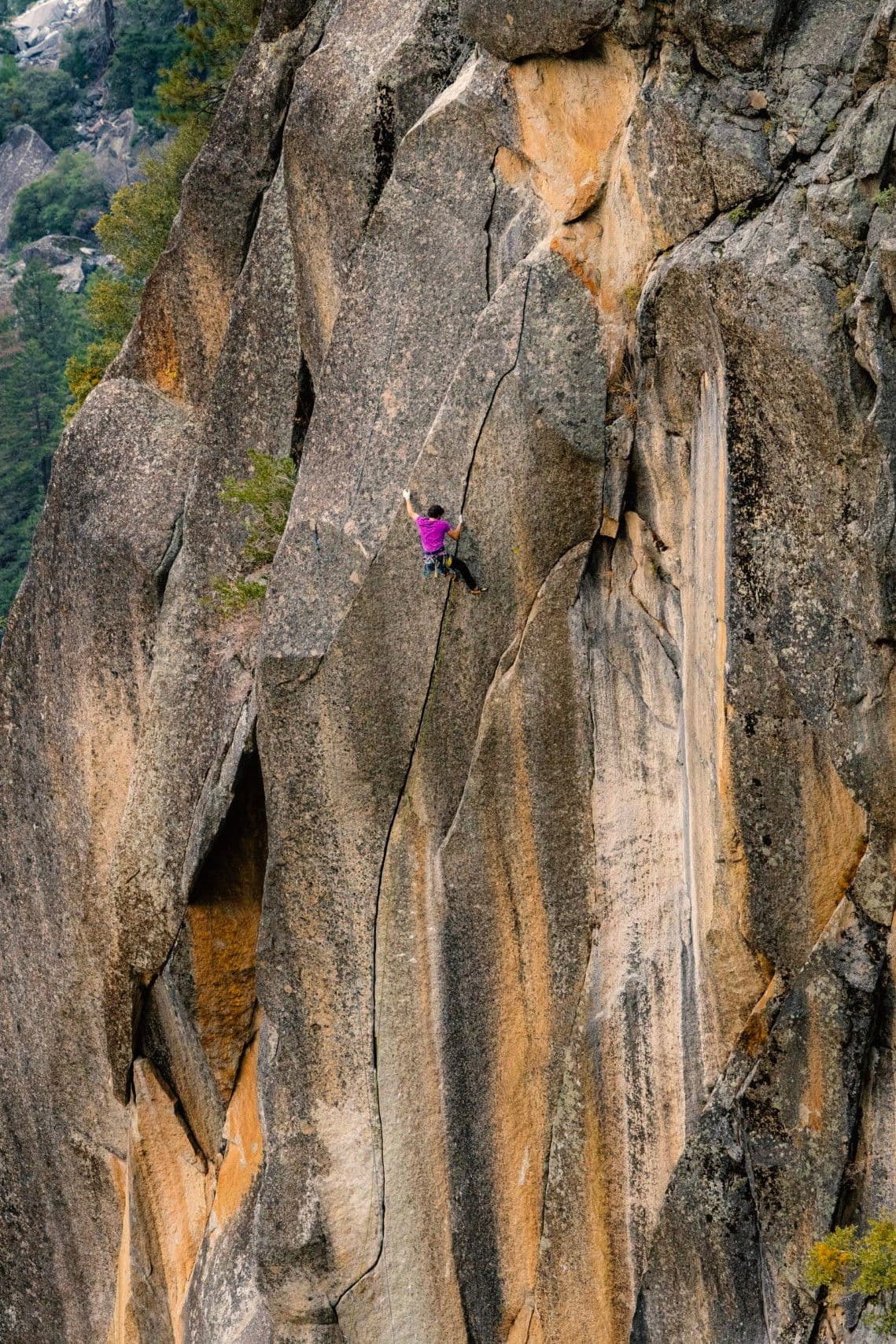 The Traditionalist - Chapter One