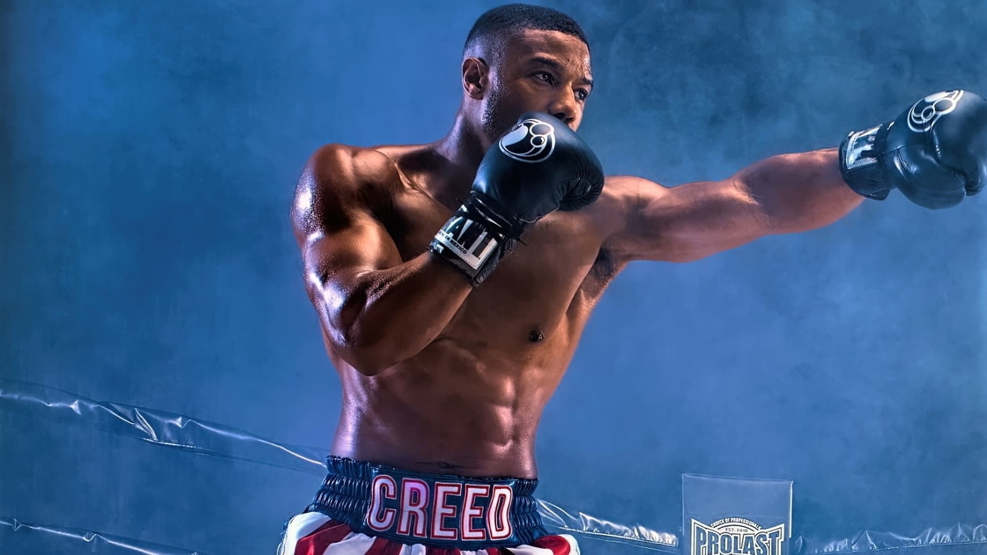 Creed Collection