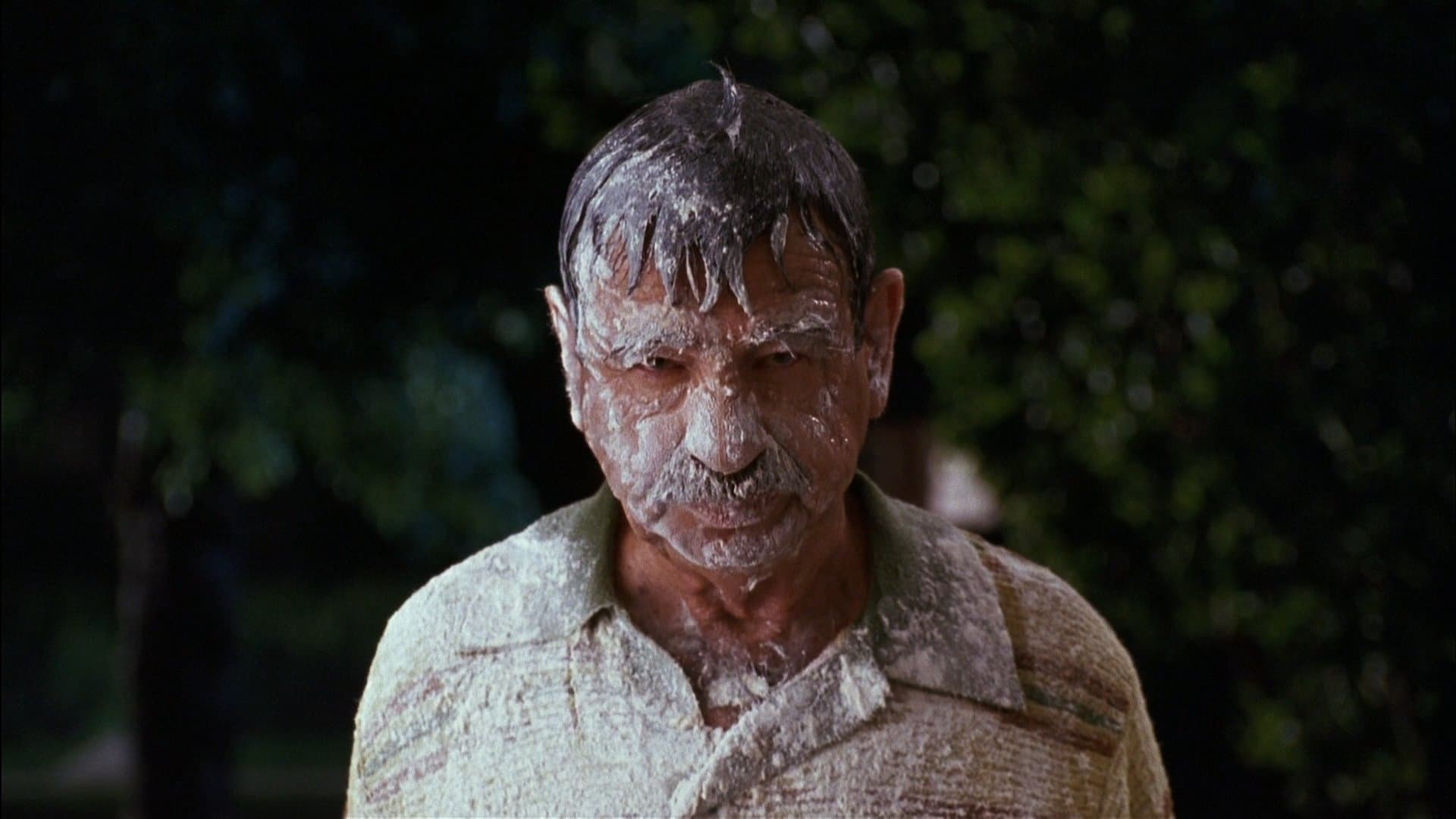 Dennis the Menace Collection