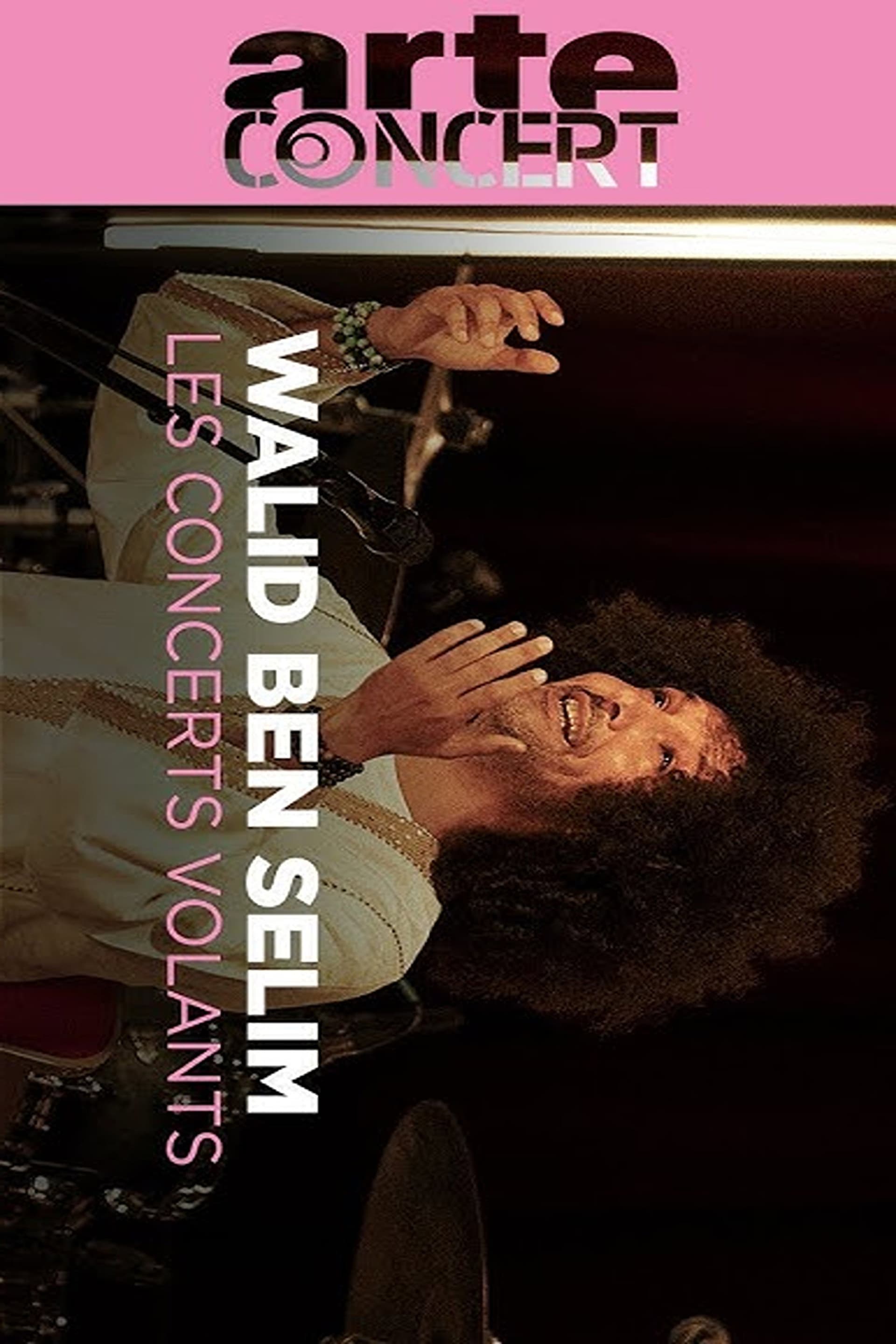 Walid Ben Selim @ Journeys Through Music