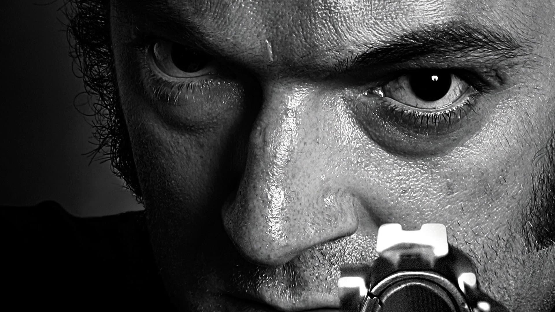 The Mesrine Collection