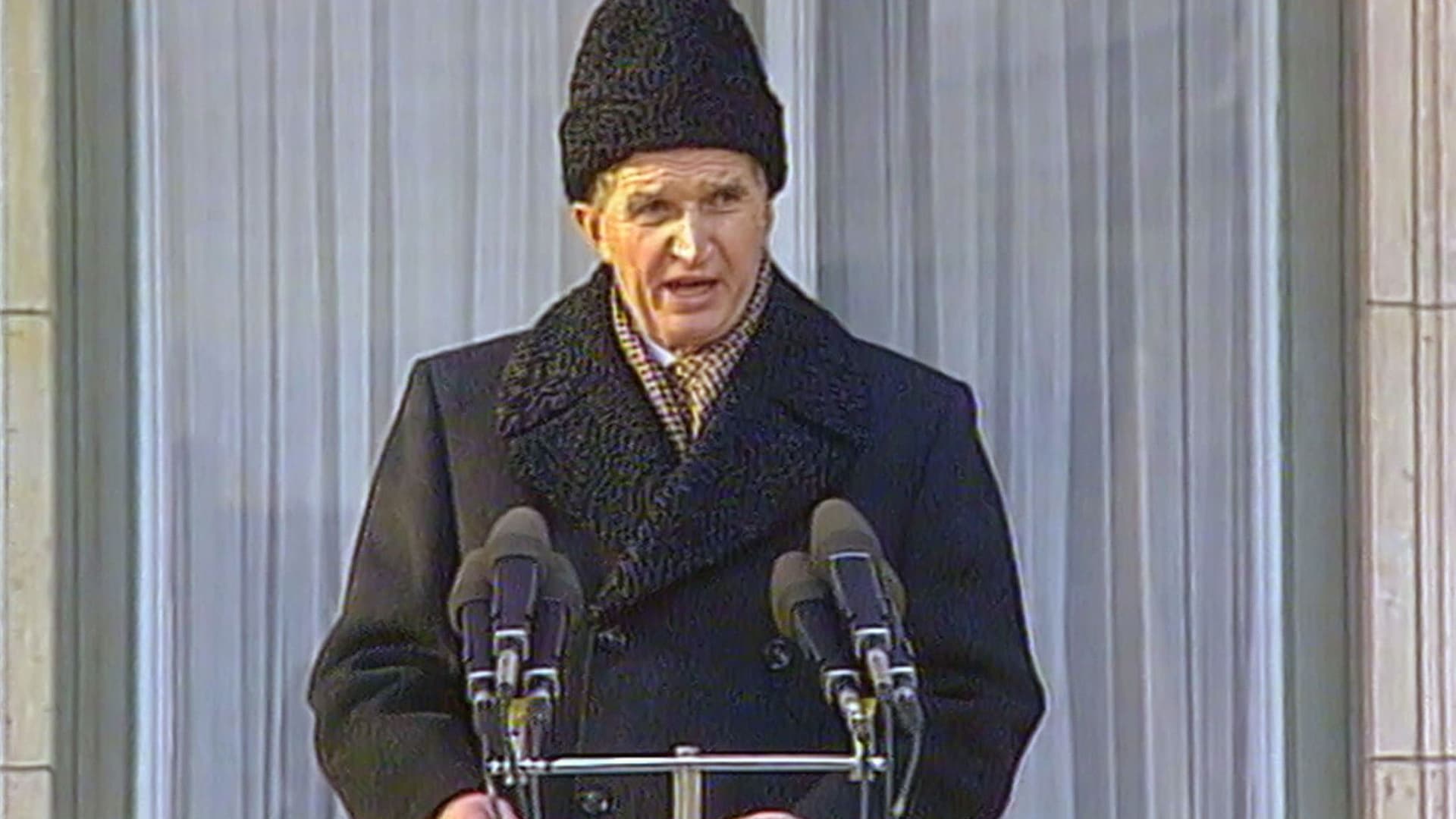 Videograms of a Revolution