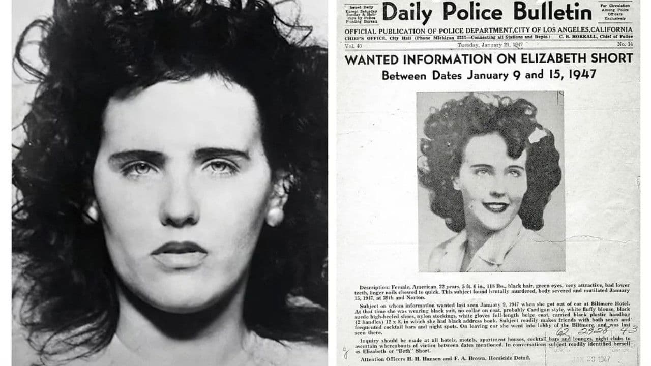 Black Dahlia Confidential