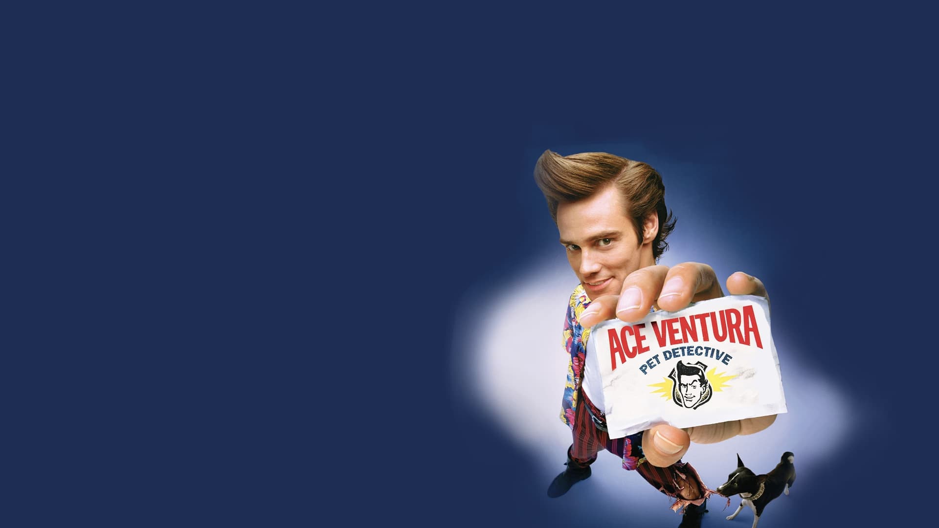 Ace Ventura Collection