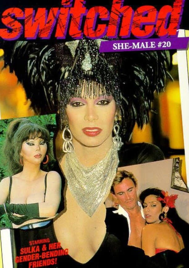 She-Male Encounters 20: Switched