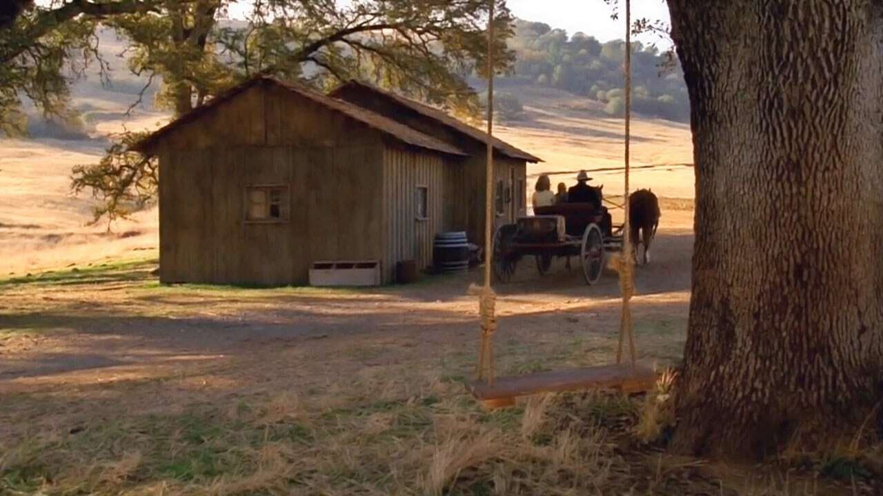 Love Comes Softly Collection