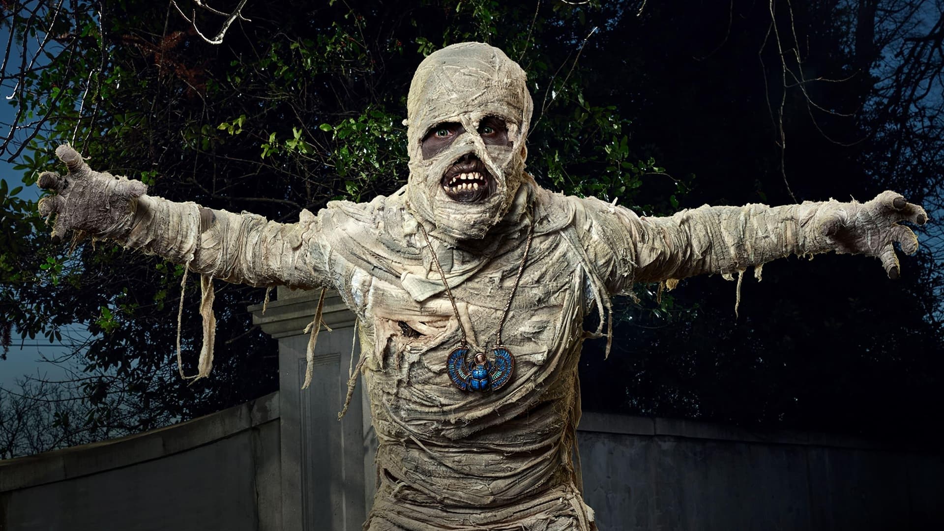 Under Wraps Collection