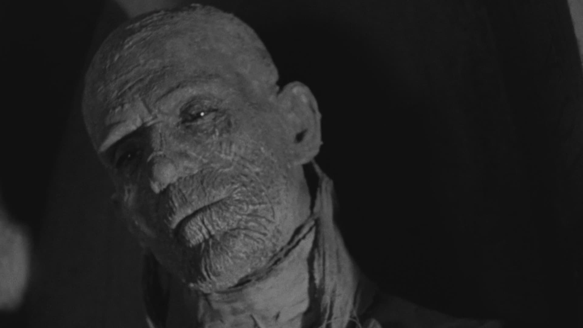 The Mummy (Universal) Collection