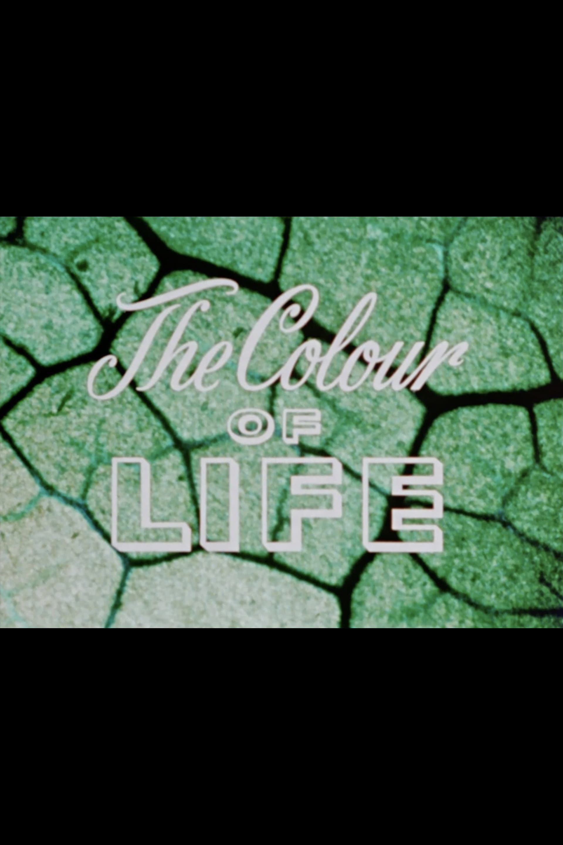 The Colour of Life