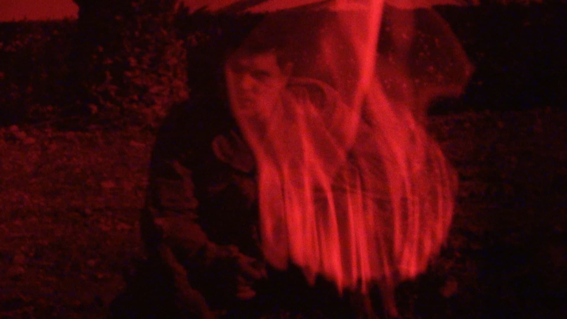 From Here to the Apple Tree