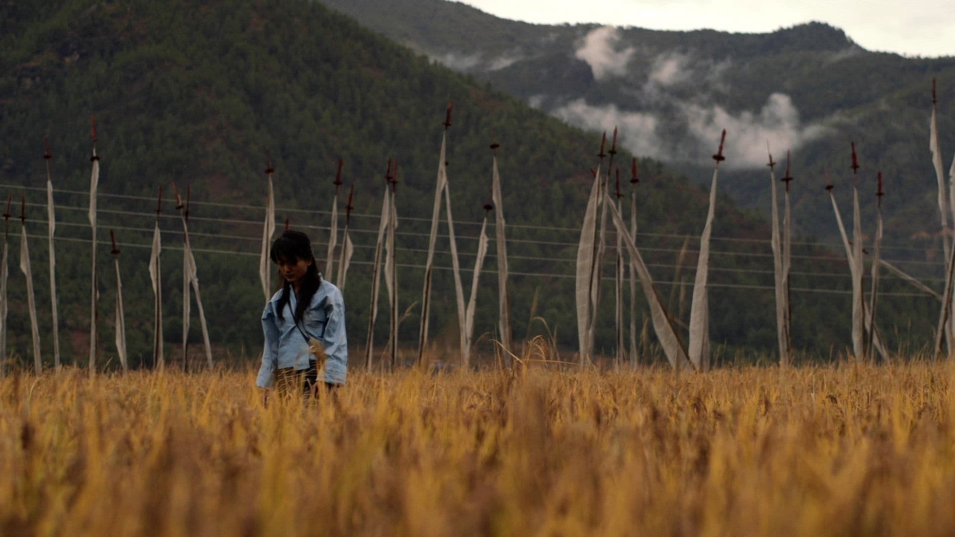 3 Year 3 Month Retreat